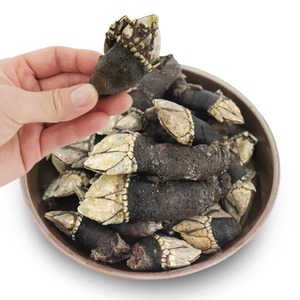 [착한어부] 자연산 거북손 1kg (냉동)