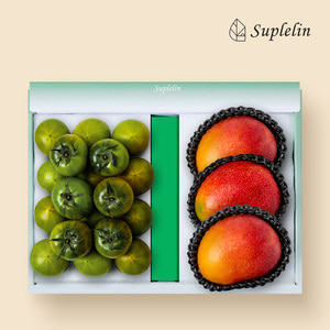 [수플린] 토마토 대저짭짤이 토마토 &amp; 애플망고 과일선물세트(총 2kg이상)